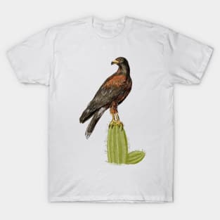 Harris Hawk T-Shirt